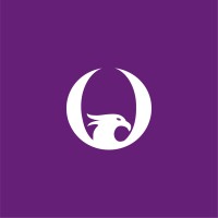 Phoenix Wise Solutions Limited logo